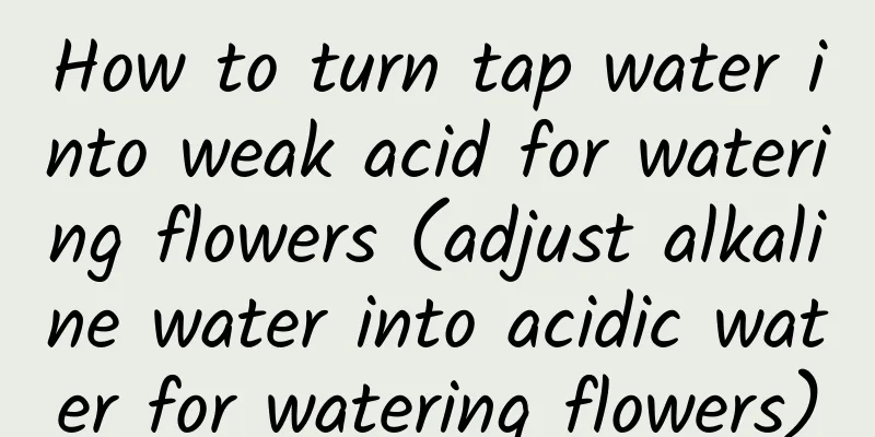 How to turn tap water into weak acid for watering flowers (adjust alkaline water into acidic water for watering flowers)