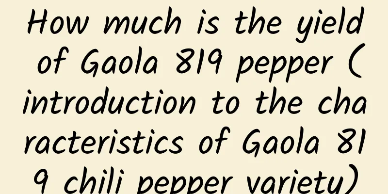 How much is the yield of Gaola 819 pepper (introduction to the characteristics of Gaola 819 chili pepper variety)