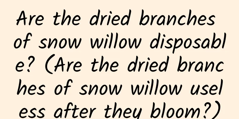 Are the dried branches of snow willow disposable? (Are the dried branches of snow willow useless after they bloom?)