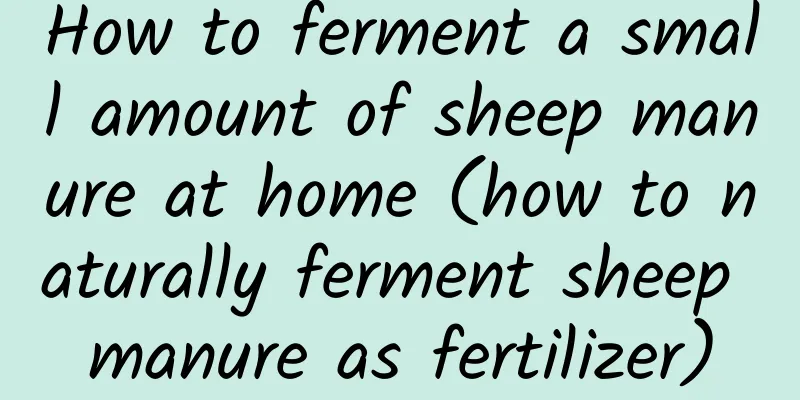 How to ferment a small amount of sheep manure at home (how to naturally ferment sheep manure as fertilizer)