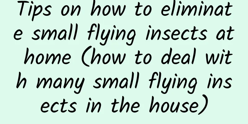 Tips on how to eliminate small flying insects at home (how to deal with many small flying insects in the house)