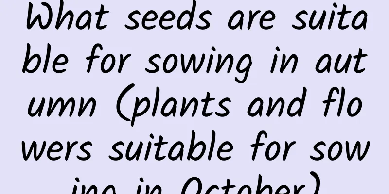 What seeds are suitable for sowing in autumn (plants and flowers suitable for sowing in October)