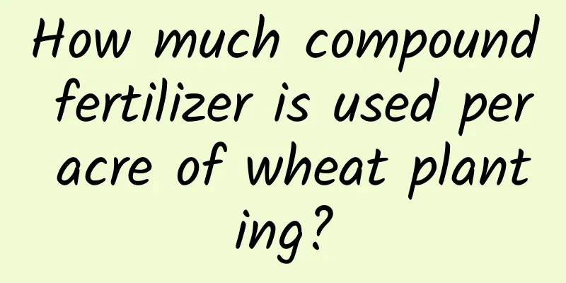 How much compound fertilizer is used per acre of wheat planting?