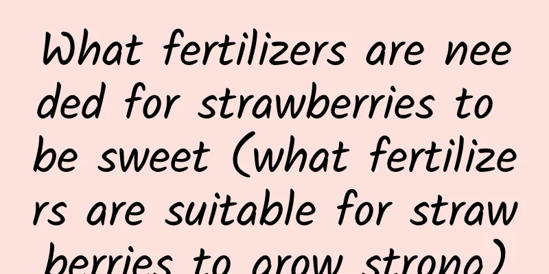 What fertilizers are needed for strawberries to be sweet (what fertilizers are suitable for strawberries to grow strong)