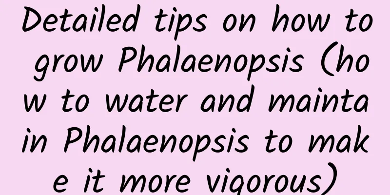 Detailed tips on how to grow Phalaenopsis (how to water and maintain Phalaenopsis to make it more vigorous)