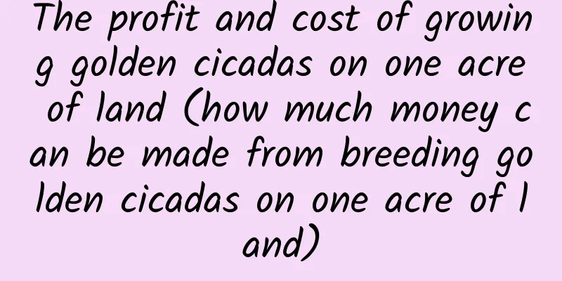 The profit and cost of growing golden cicadas on one acre of land (how much money can be made from breeding golden cicadas on one acre of land)