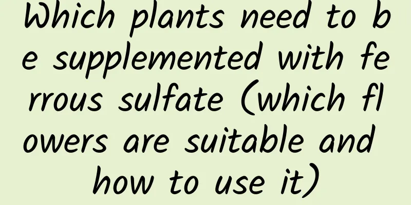 Which plants need to be supplemented with ferrous sulfate (which flowers are suitable and how to use it)