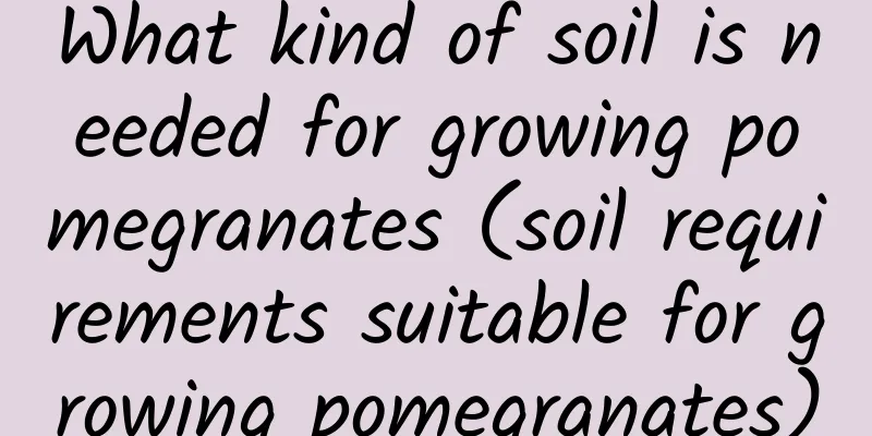 What kind of soil is needed for growing pomegranates (soil requirements suitable for growing pomegranates)