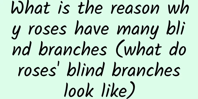 What is the reason why roses have many blind branches (what do roses' blind branches look like)