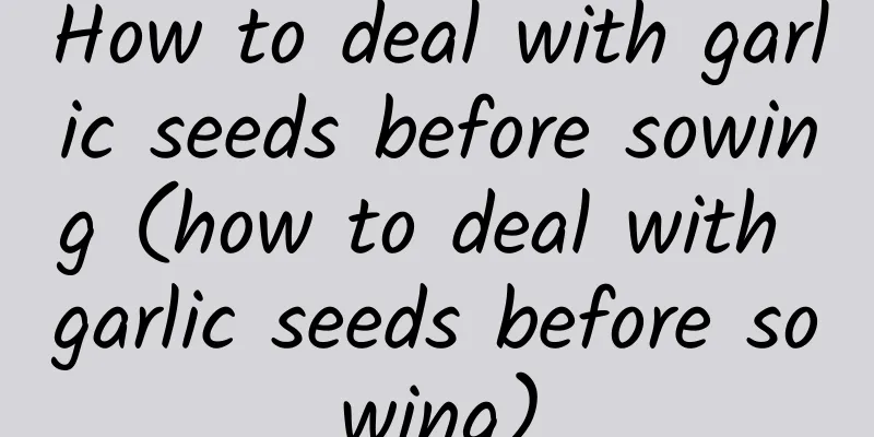 How to deal with garlic seeds before sowing (how to deal with garlic seeds before sowing)