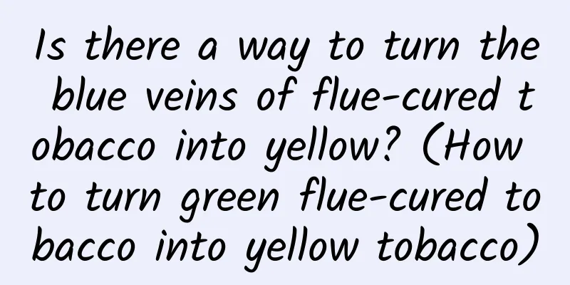 Is there a way to turn the blue veins of flue-cured tobacco into yellow? (How to turn green flue-cured tobacco into yellow tobacco)
