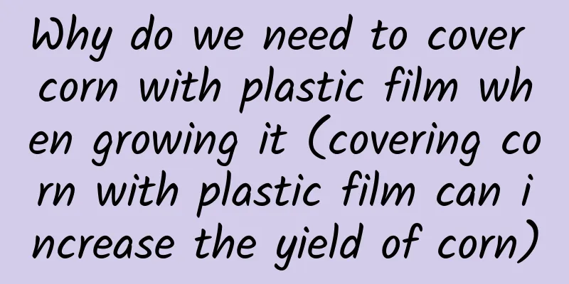 Why do we need to cover corn with plastic film when growing it (covering corn with plastic film can increase the yield of corn)