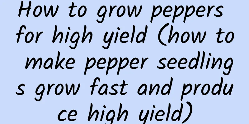 How to grow peppers for high yield (how to make pepper seedlings grow fast and produce high yield)