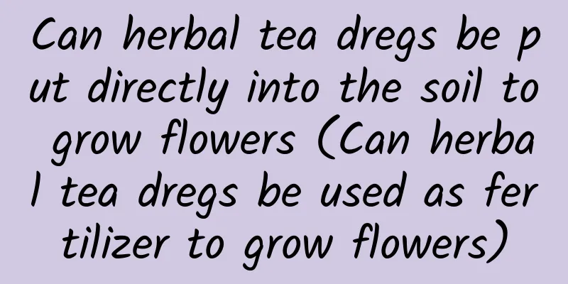 Can herbal tea dregs be put directly into the soil to grow flowers (Can herbal tea dregs be used as fertilizer to grow flowers)