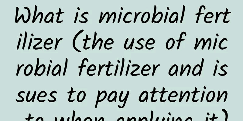 What is microbial fertilizer (the use of microbial fertilizer and issues to pay attention to when applying it)