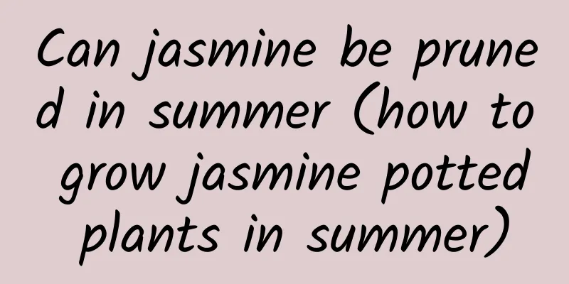 Can jasmine be pruned in summer (how to grow jasmine potted plants in summer)