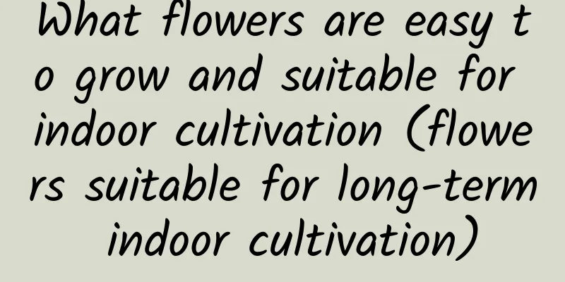 What flowers are easy to grow and suitable for indoor cultivation (flowers suitable for long-term indoor cultivation)