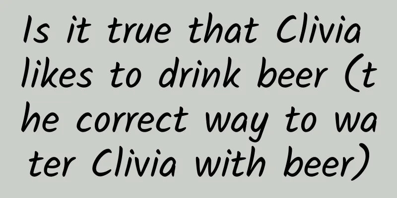 Is it true that Clivia likes to drink beer (the correct way to water Clivia with beer)