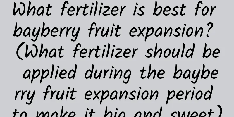 What fertilizer is best for bayberry fruit expansion? (What fertilizer should be applied during the bayberry fruit expansion period to make it big and sweet)