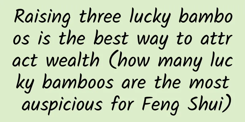 Raising three lucky bamboos is the best way to attract wealth (how many lucky bamboos are the most auspicious for Feng Shui)