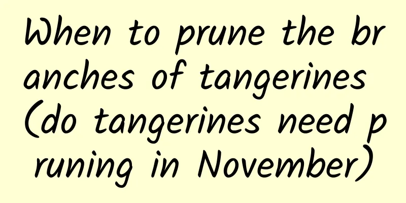 When to prune the branches of tangerines (do tangerines need pruning in November)