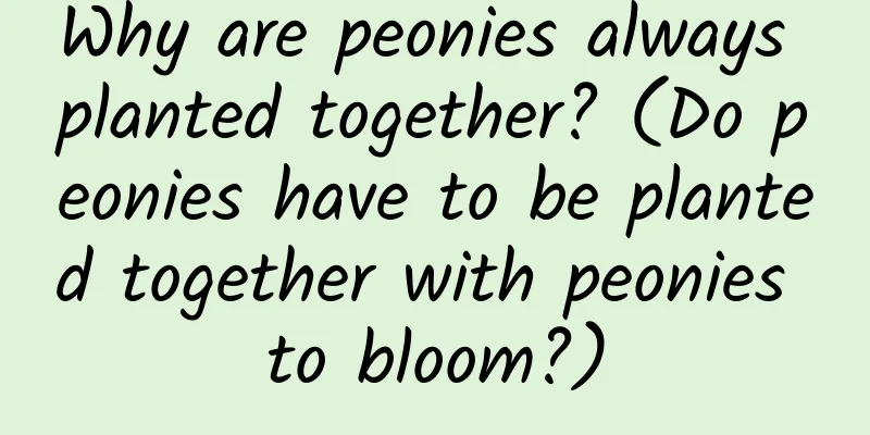 Why are peonies always planted together? (Do peonies have to be planted together with peonies to bloom?)