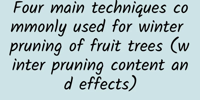 Four main techniques commonly used for winter pruning of fruit trees (winter pruning content and effects)