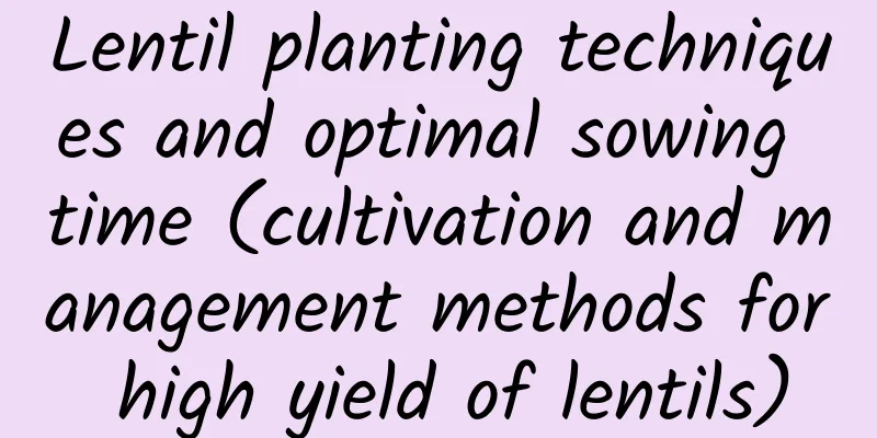 Lentil planting techniques and optimal sowing time (cultivation and management methods for high yield of lentils)