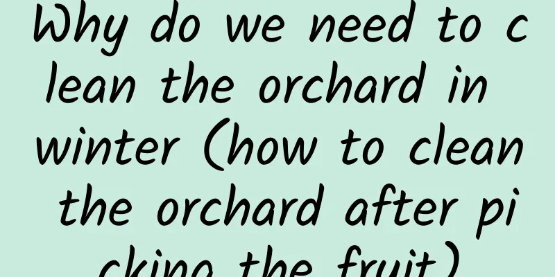 Why do we need to clean the orchard in winter (how to clean the orchard after picking the fruit)