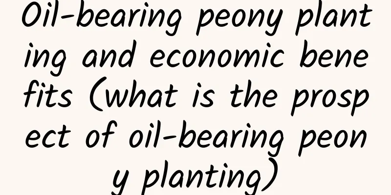 Oil-bearing peony planting and economic benefits (what is the prospect of oil-bearing peony planting)