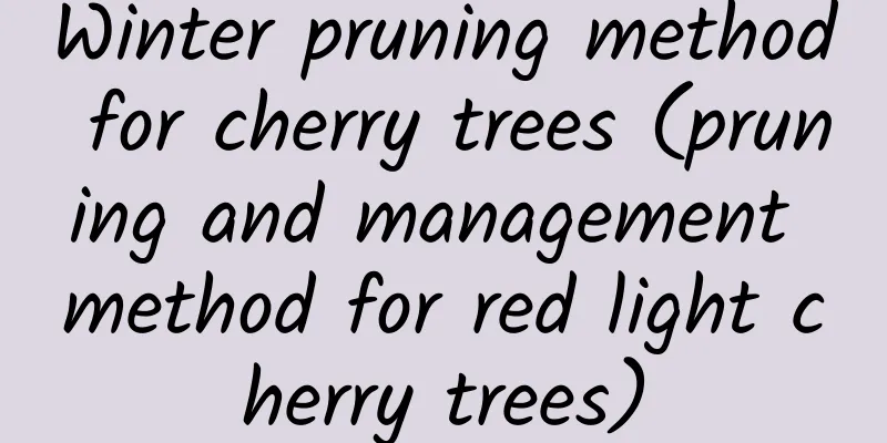 Winter pruning method for cherry trees (pruning and management method for red light cherry trees)