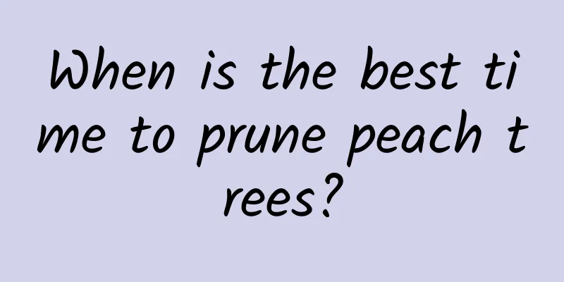 When is the best time to prune peach trees?