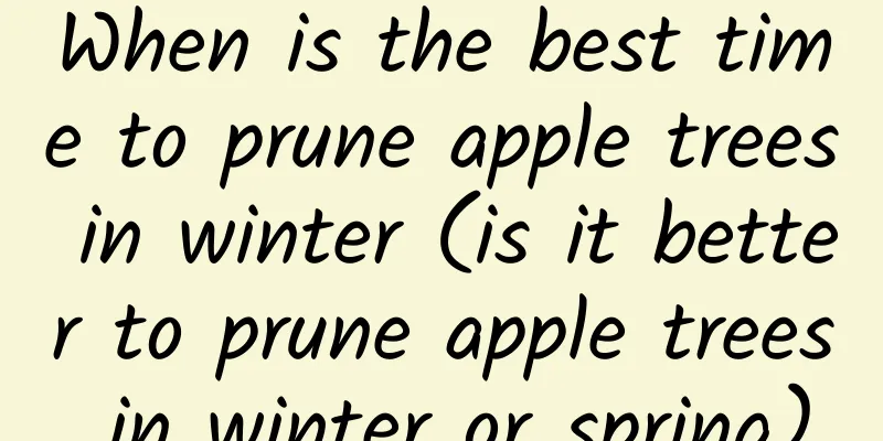 When is the best time to prune apple trees in winter (is it better to prune apple trees in winter or spring)