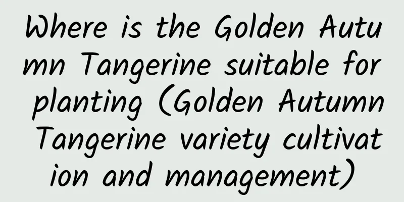 Where is the Golden Autumn Tangerine suitable for planting (Golden Autumn Tangerine variety cultivation and management)