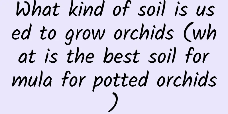 What kind of soil is used to grow orchids (what is the best soil formula for potted orchids)