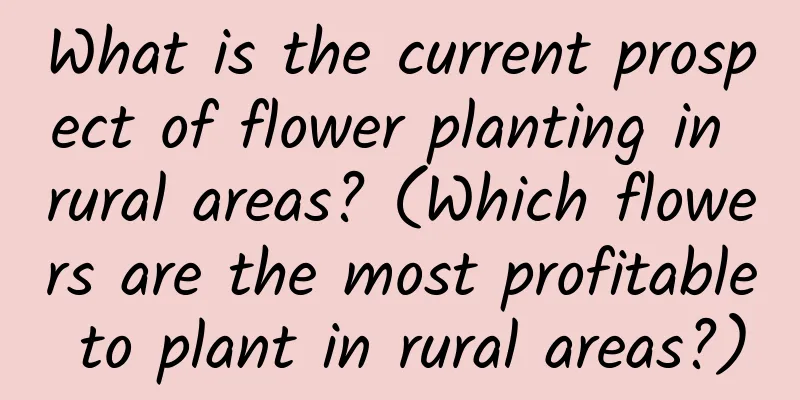 What is the current prospect of flower planting in rural areas? (Which flowers are the most profitable to plant in rural areas?)