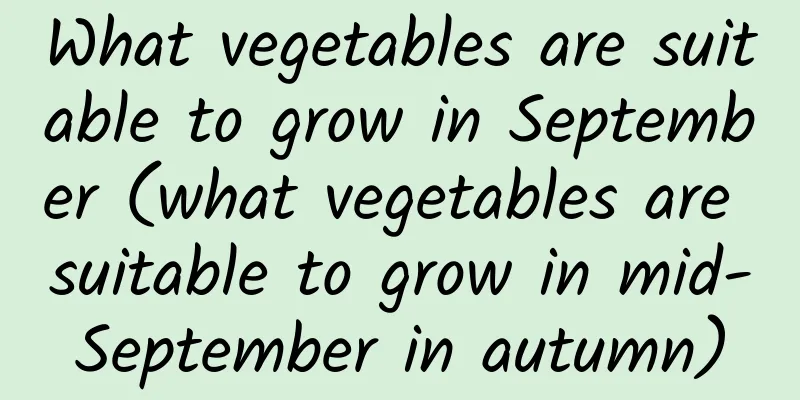 What vegetables are suitable to grow in September (what vegetables are suitable to grow in mid-September in autumn)