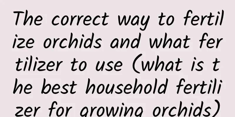 The correct way to fertilize orchids and what fertilizer to use (what is the best household fertilizer for growing orchids)