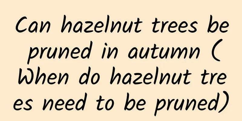 Can hazelnut trees be pruned in autumn (When do hazelnut trees need to be pruned)