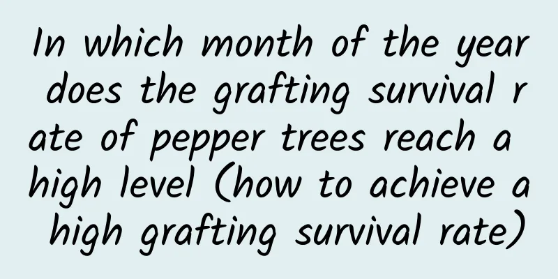 In which month of the year does the grafting survival rate of pepper trees reach a high level (how to achieve a high grafting survival rate)