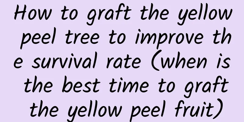 How to graft the yellow peel tree to improve the survival rate (when is the best time to graft the yellow peel fruit)