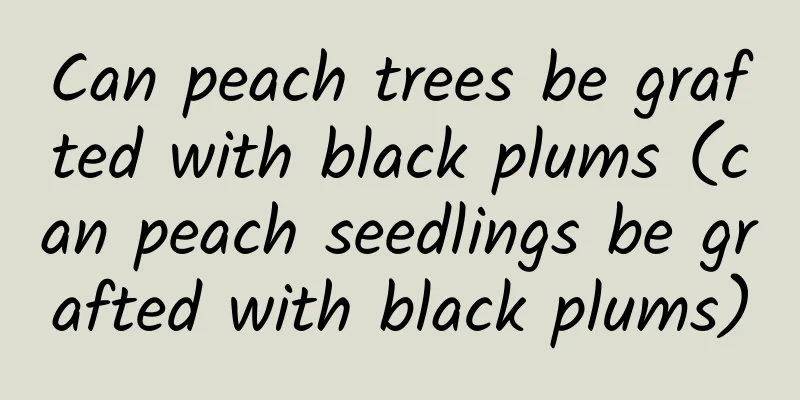 Can peach trees be grafted with black plums (can peach seedlings be grafted with black plums)