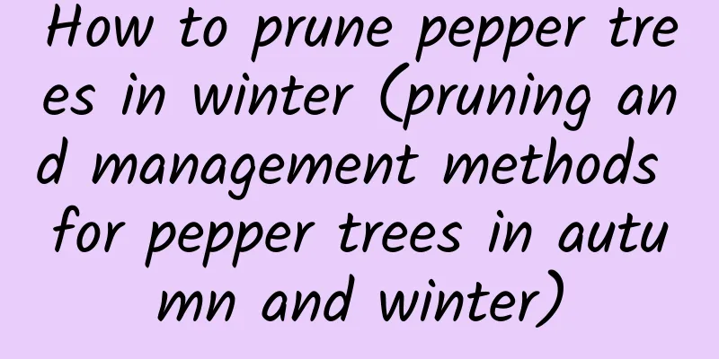 How to prune pepper trees in winter (pruning and management methods for pepper trees in autumn and winter)