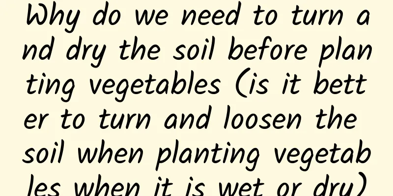 Why do we need to turn and dry the soil before planting vegetables (is it better to turn and loosen the soil when planting vegetables when it is wet or dry)