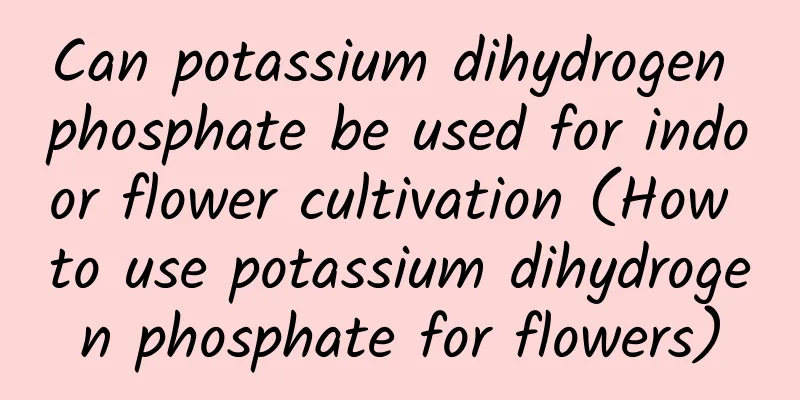 Can potassium dihydrogen phosphate be used for indoor flower cultivation (How to use potassium dihydrogen phosphate for flowers)