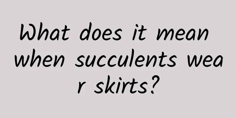 What does it mean when succulents wear skirts?