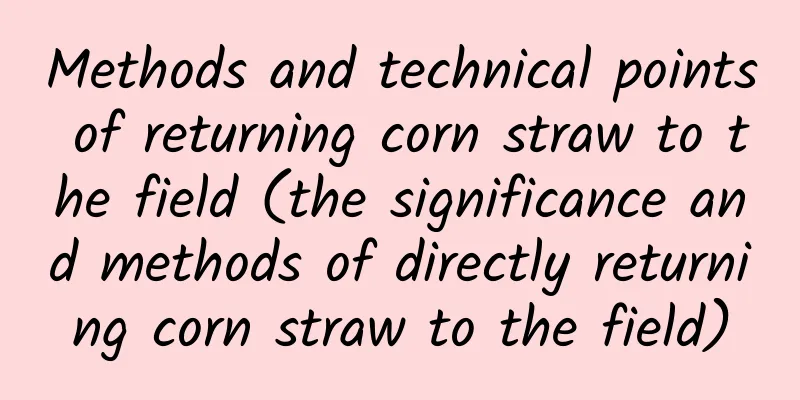 Methods and technical points of returning corn straw to the field (the significance and methods of directly returning corn straw to the field)