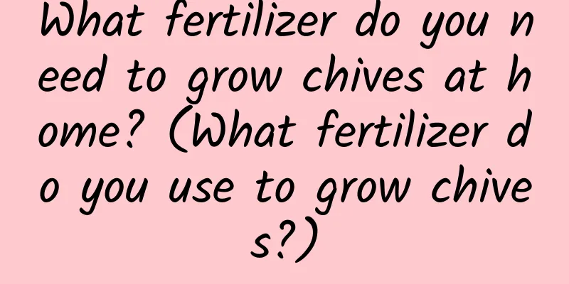 What fertilizer do you need to grow chives at home? (What fertilizer do you use to grow chives?)