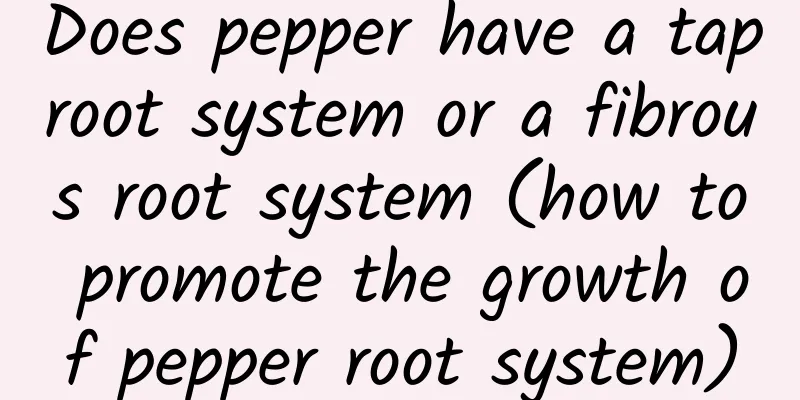 Does pepper have a taproot system or a fibrous root system (how to promote the growth of pepper root system)