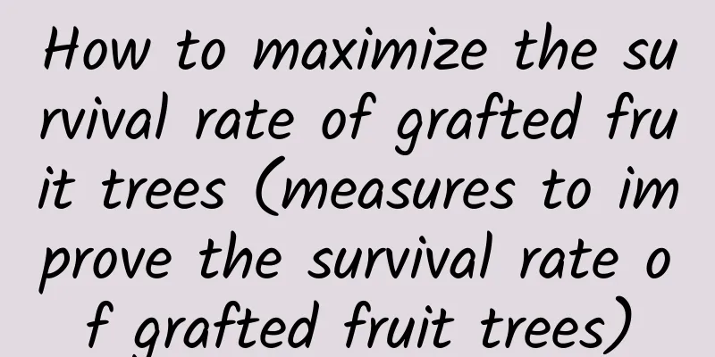 How to maximize the survival rate of grafted fruit trees (measures to improve the survival rate of grafted fruit trees)